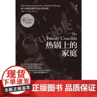 热锅上的家庭:家庭问题背后的心理真相