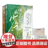 借我春风如少年:全2册