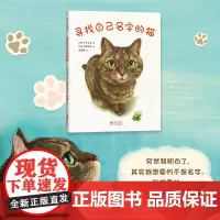 寻找自己名字的猫 温馨 感动 睡前故事绘本 归属感 自我认同 疗愈 爱心树童书