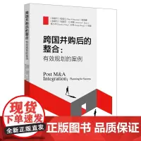 跨国并购后的整合:有效规划的案例