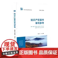 知识产权案件审判参考
