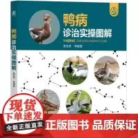 鸭病诊治实操图解 席克奇 等 编 畜牧/养殖专业科技 正版图书籍 机械工业出版社