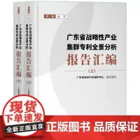 广东省战略性产业集群专利全景分析报告汇编(上下)/粤知丛书