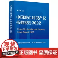 中国城市知识产权指数报告(2022)