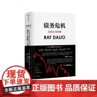 债务危机 瑞·达利欧 2019投资定心作 经济展望投资趋势 破解金融危机规律 创建债务大 模型 经济书籍 书