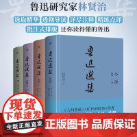 鲁迅选集(全4册,精装典藏版。鲁迅研究家林贤治精选鲁迅小说、杂感、散文、诗歌、书信等,