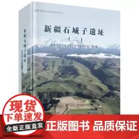 新疆石城子遗址(二)