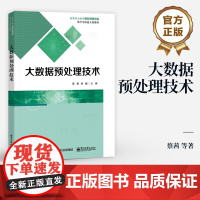 店 大数据预处理技术 Kettle工具MapReduce编程数据处理书 大数据预处理技术应用书 Python Panda