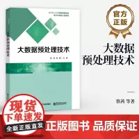 店 大数据预处理技术 Kettle工具MapReduce编程数据处理书 大数据预处理技术应用书 Python Panda