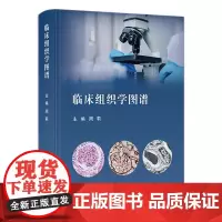 临床组织学图谱 2023年12月参考书 9787117325486