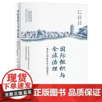 国际组织与全球治理——北京大学青年学子的思考 张海滨 北京大学店正版