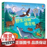 []奇妙发声书系列 野生动物谁在吼 精装 0-3岁宝宝儿童玩具书益智游戏科普百科启蒙亲子早教绘本图画书尤斯伯恩书籍