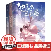 他怎么还不逃(全3册)