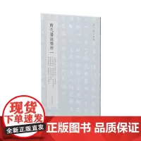 隋代墓志精粹一:武德皇后阿史那氏墓志、王升墓志、乙弗明墓志、郑祁耶墓志、萧妙瑜墓志、张宪卿墓志、张振妻韦氏墓志、解方保