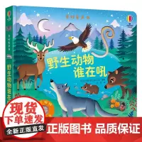 [接力出版社]奇妙发声书系列 野生动物谁在吼精装0-3岁宝宝儿童玩具书益智游戏科普百科启蒙亲子早教绘本图画书尤斯伯恩书籍