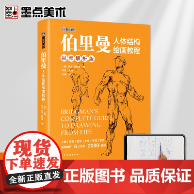 墨点美术 伯里曼人体结构绘画教程 初学者人物透视技法解剖动态美术基础教程