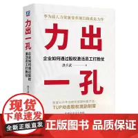 力出一孔:企业如何通过股权激活员工 洪千武 打胜仗