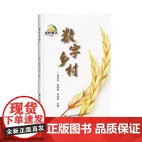 数字乡村 乡村振兴战略方向发展书籍 数字乡村建设助力农业发展 农村电商乡村新业态数字治理生活网络文化智慧绿色农业生产指导
