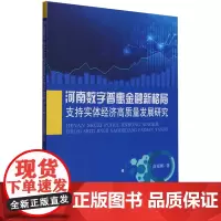 河南数字普惠金融新格局支持实体经济高质量发展研究