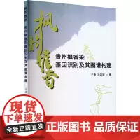 枫韵雅香 贵州枫香染基因识别及其图谱构建 王通,孙其琛 著 轻工业/手工业专业科技 正版图书籍 东华大学出版社
