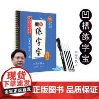 墨点字帖 墨点练字宝 7天学会行书 行书 成年硬笔书法练字大学生初学者钢笔字帖潦草手写体连笔字荆霄鹏行书字帖 武汉新新