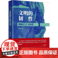 文明的韧性 溯源长江文明带 皮曙初 著 文化史社科 正版图书籍 新华出版社