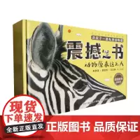 震撼之书(第一辑4册)