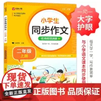 句式强化训练+同步作文名师视频讲解(二年级上下)