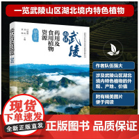 正版 武陵山区药用及食用植物资源 湖北册 湖北境内植物外观产地价值参考书 药用植物药食兼用植物 其他植物资源资料图书籍