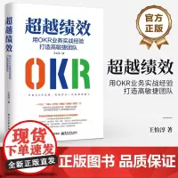 店 超越绩效 用OKR业务实战经验打造高敏捷团队 OKR方法论 OKR成功导入的关键落地步骤书 团队绩效个人职场竞争力