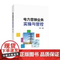 电力营销业务实操与管控
