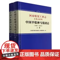 中国平煤神马集团志 1991—2015(上下卷)(《河南煤炭工业志》企业志系列)