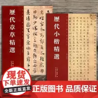 全2册 历代章草精选+历代小楷精选 二王钟繇王羲之赵孟頫文征明姜夔虞世南中国历代书法精选系列临摹字帖小楷临摹字帖 河南美