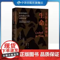 [正版]尘封在时间里的生命 探索隐藏在50件化石中的动物故事 中译出版社科普百科读物书籍化石恐龙知识书