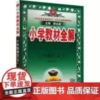 小学教材全解 6年级语文(下) 薛金星 编 小学教辅文教 正版图书籍 辽宁大学出版社