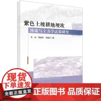 紫色土坡耕地埂坎渗流与土力学试验研究
