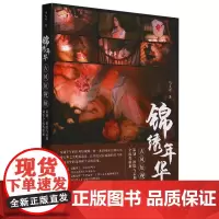 [余杭新华正版图书]锦绣年华(古风短视频策划拍摄与后期制作全流程精解) 马大可著系统化讲解古风短视频创作全流程教程速