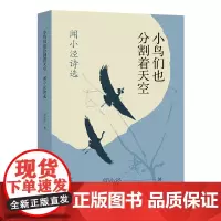 正版 小鸟们也分割着天空 闻小泾著 现当代诗歌 海峡文艺出版社