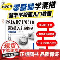 素描入门教程 光影色调 3大面5大调 专项系统练习讲解 铅笔手绘素描光影色调 静物速写临摹画册集 零基础新手素描绘画技法