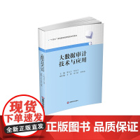 大数据审计技术与应用9787550450585西南财经大学出版社正版自营