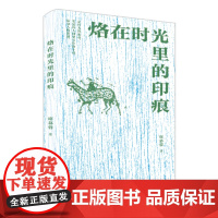 烙在时光里的印痕 席慕蓉 回忆性散文集 中国当代经典散文 名家作品集 日记书信回忆录 人民文学出版社