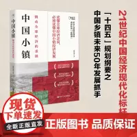 中国小镇(撬动全球经济的重镇)