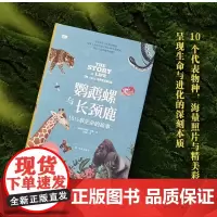 [余杭新华正版]鹦鹉螺与长颈鹿(10 1\2章生命的故事)(精)/天际线 (英)玛丽安·泰勒著 10个有代表性的物种生命