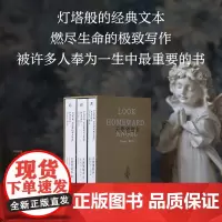 天使望故乡-函盒典藏文库本 天才作家以生命激情写就的成长史诗 托马斯沃尔夫著 宋碧云译本丨一頁folio