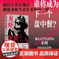 龙虾,龙虾!城市文学代表作家 小珂 中短篇小说集 全新锐利之作 八个钻入骨髓的异质故事 一部城市病人的