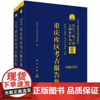 重庆库区考古报告集(2004卷上下)/长江三峡工程文物保护项目报告