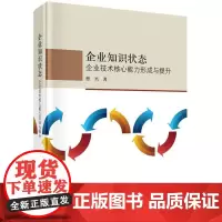 企业知识状态(企业技术核心能力形成与提升)(精)