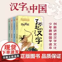 了不起的汉字(全4册)8-14岁的中小学生汉字桥梁汉字文化天地出版社
