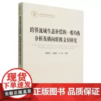 跨界流域生态补偿的一般均衡分析及横向转移支付研究