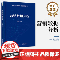 店 营销数据分析 营销数据分析的相关概念参考书籍 新商科大数据系列创新型教材 营销数据背后的市场规律与营销逻辑书籍